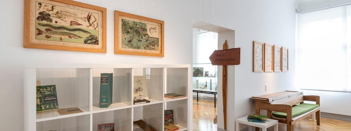 Vorraum des Waldklassenzimmers mit Naturlehrpfad. Blick in den Vorraum des Waldklassenzimmers mit Naturlehrpfad.